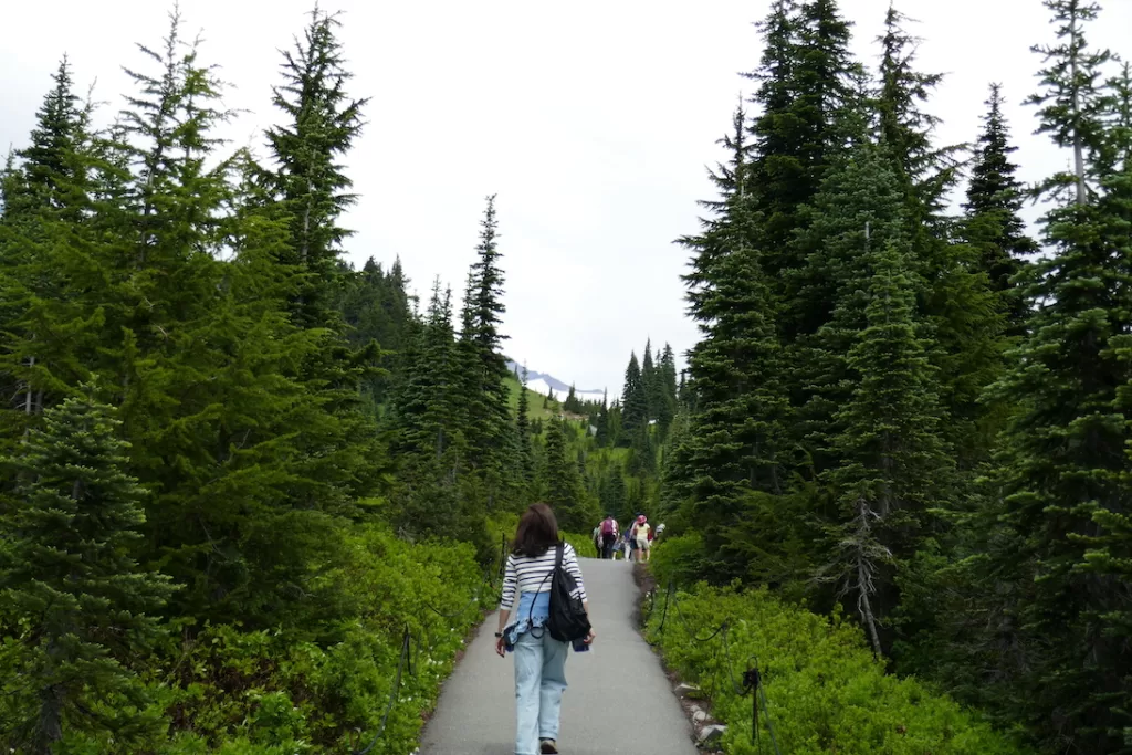 mount rainier national park jul 2023