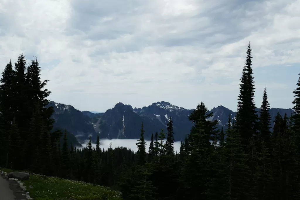 mount rainier national park jul 2023