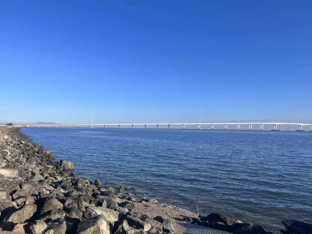 foster city running trail next to the sea 2
