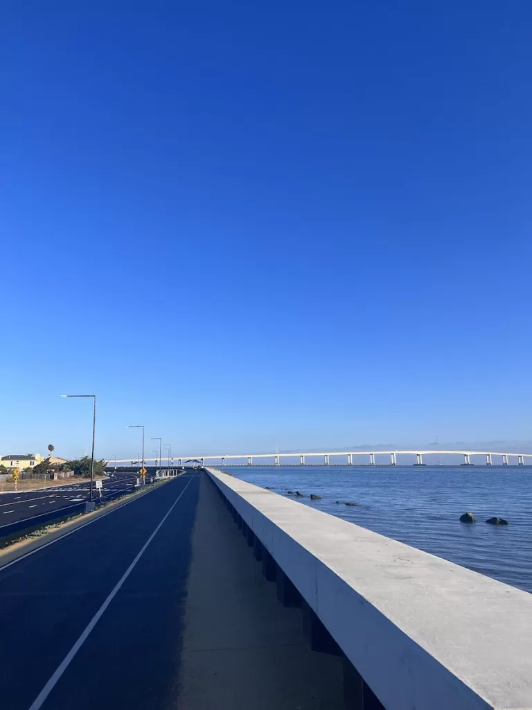 foster city running trail next to the sea
