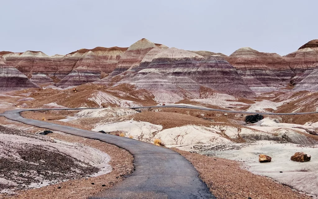 Blue Mesa trail petrified forest national park Dec 2023