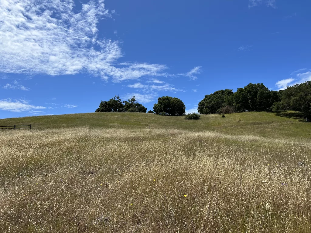 Edgewook park and natural preserve 2