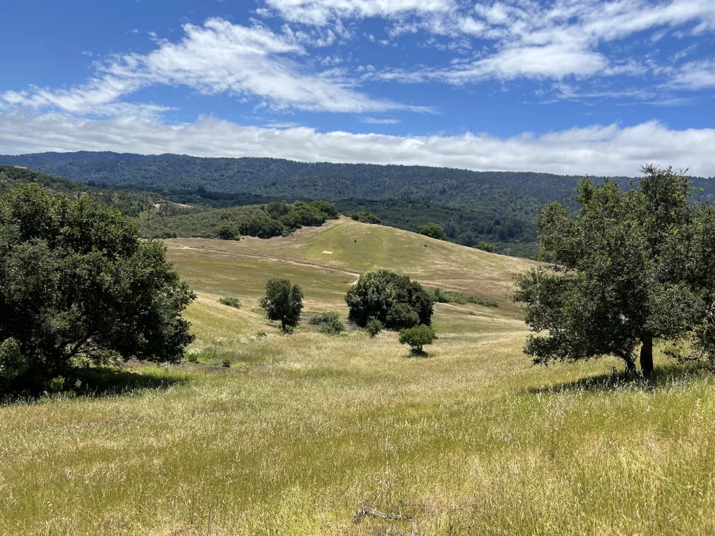 Edgewook park and natural preserve